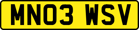 MN03WSV