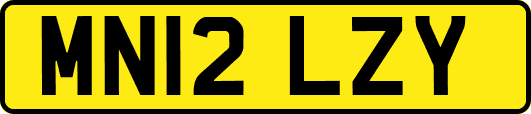 MN12LZY