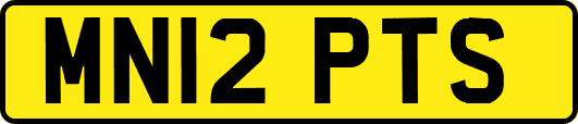MN12PTS