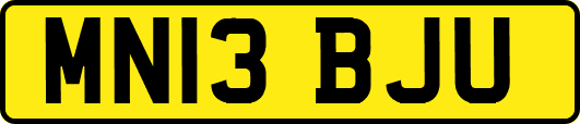 MN13BJU