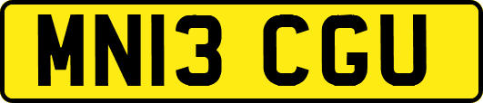 MN13CGU