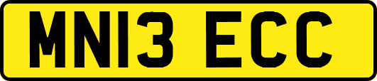 MN13ECC