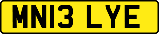 MN13LYE