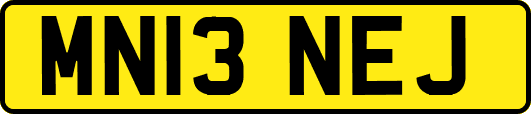 MN13NEJ