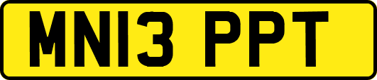 MN13PPT