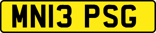 MN13PSG