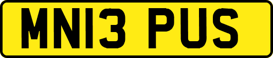 MN13PUS