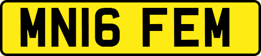 MN16FEM