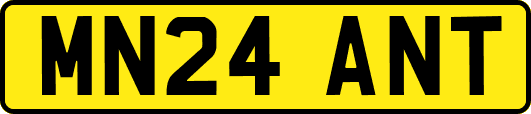 MN24ANT