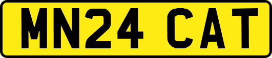 MN24CAT
