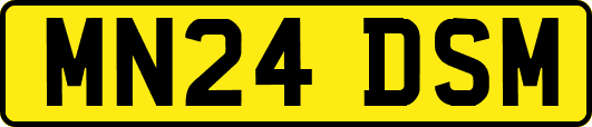 MN24DSM