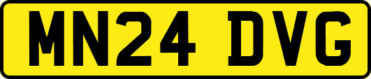 MN24DVG