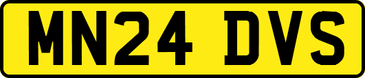 MN24DVS