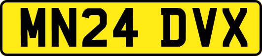 MN24DVX