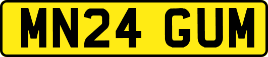 MN24GUM