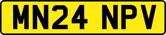 MN24NPV