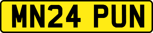 MN24PUN