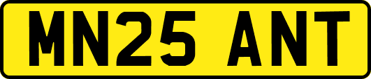 MN25ANT