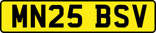 MN25BSV