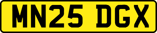 MN25DGX