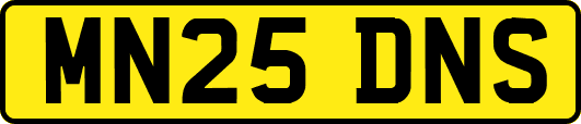 MN25DNS