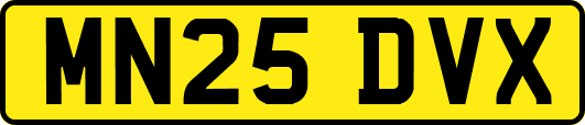 MN25DVX