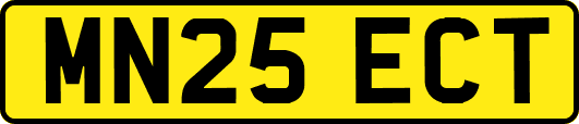 MN25ECT