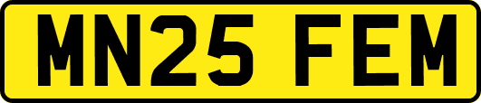 MN25FEM