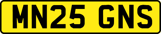MN25GNS