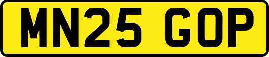 MN25GOP