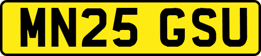 MN25GSU