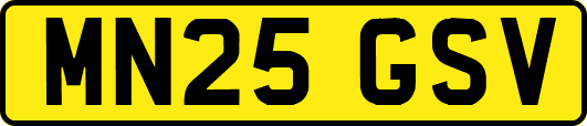 MN25GSV