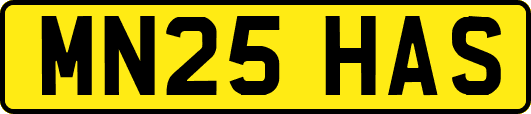 MN25HAS