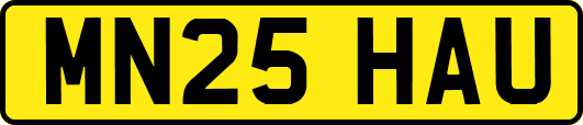 MN25HAU