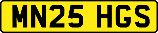 MN25HGS
