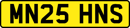 MN25HNS