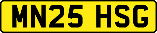MN25HSG