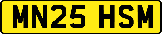 MN25HSM