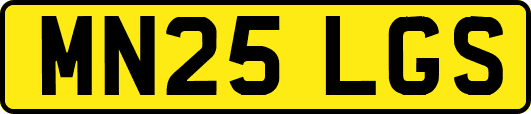 MN25LGS
