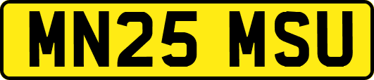 MN25MSU