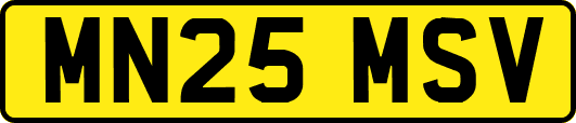 MN25MSV