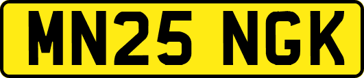 MN25NGK