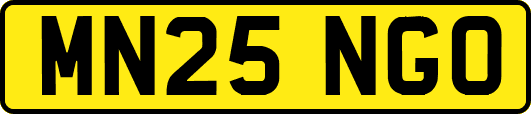 MN25NGO