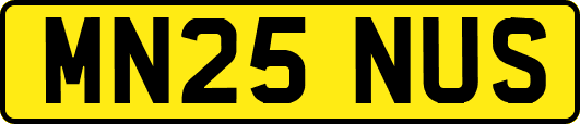 MN25NUS