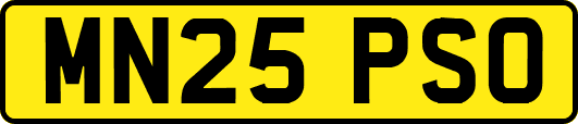 MN25PSO