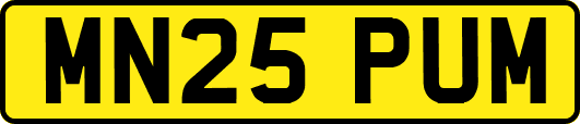 MN25PUM