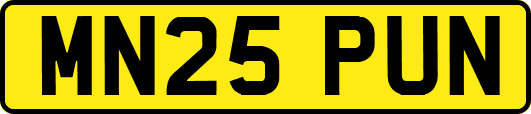 MN25PUN
