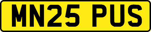 MN25PUS