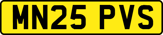 MN25PVS