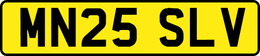 MN25SLV